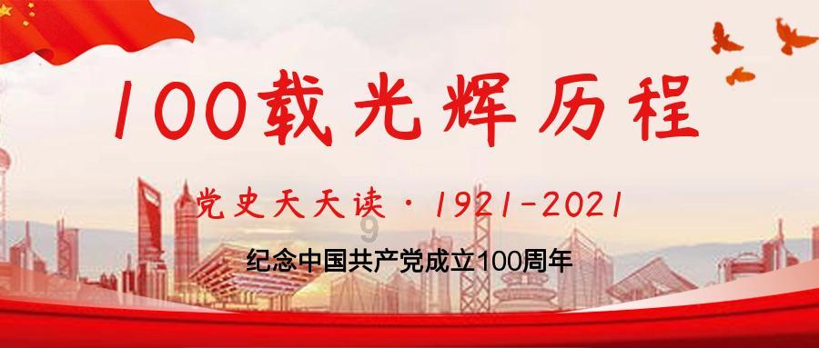救援非洲金猫